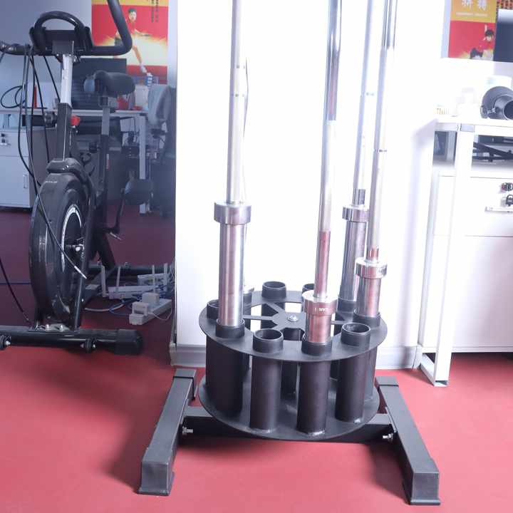 Barbell Holder Storage & Organ - Barbell Curl Bar 评论和价格