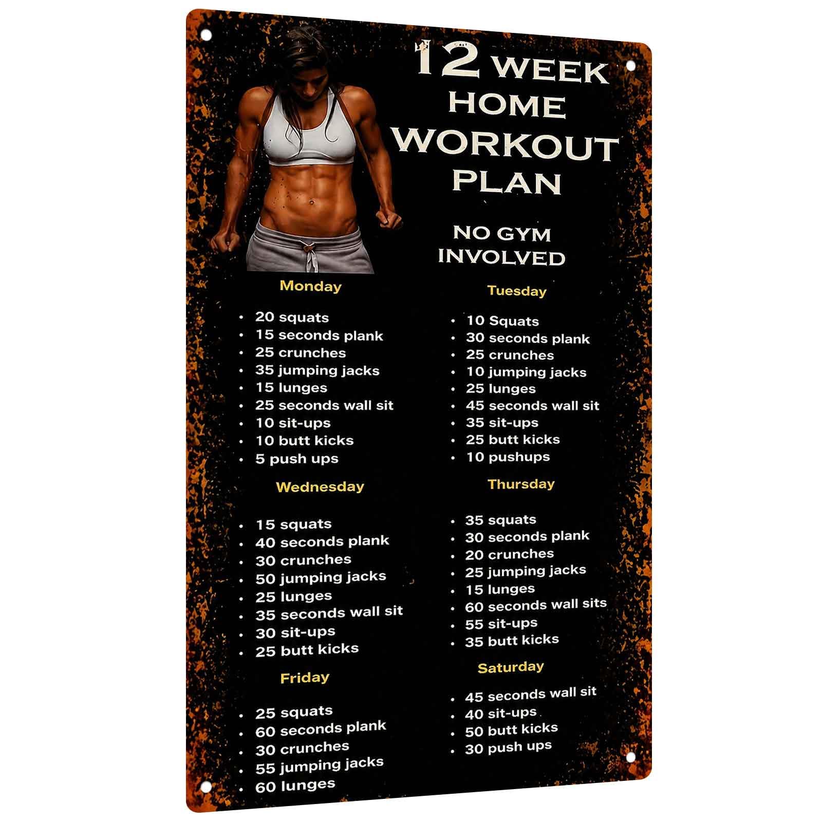 Aluminum Sign for 12-Week Home - Workout Plan Home Gym 评论和价格