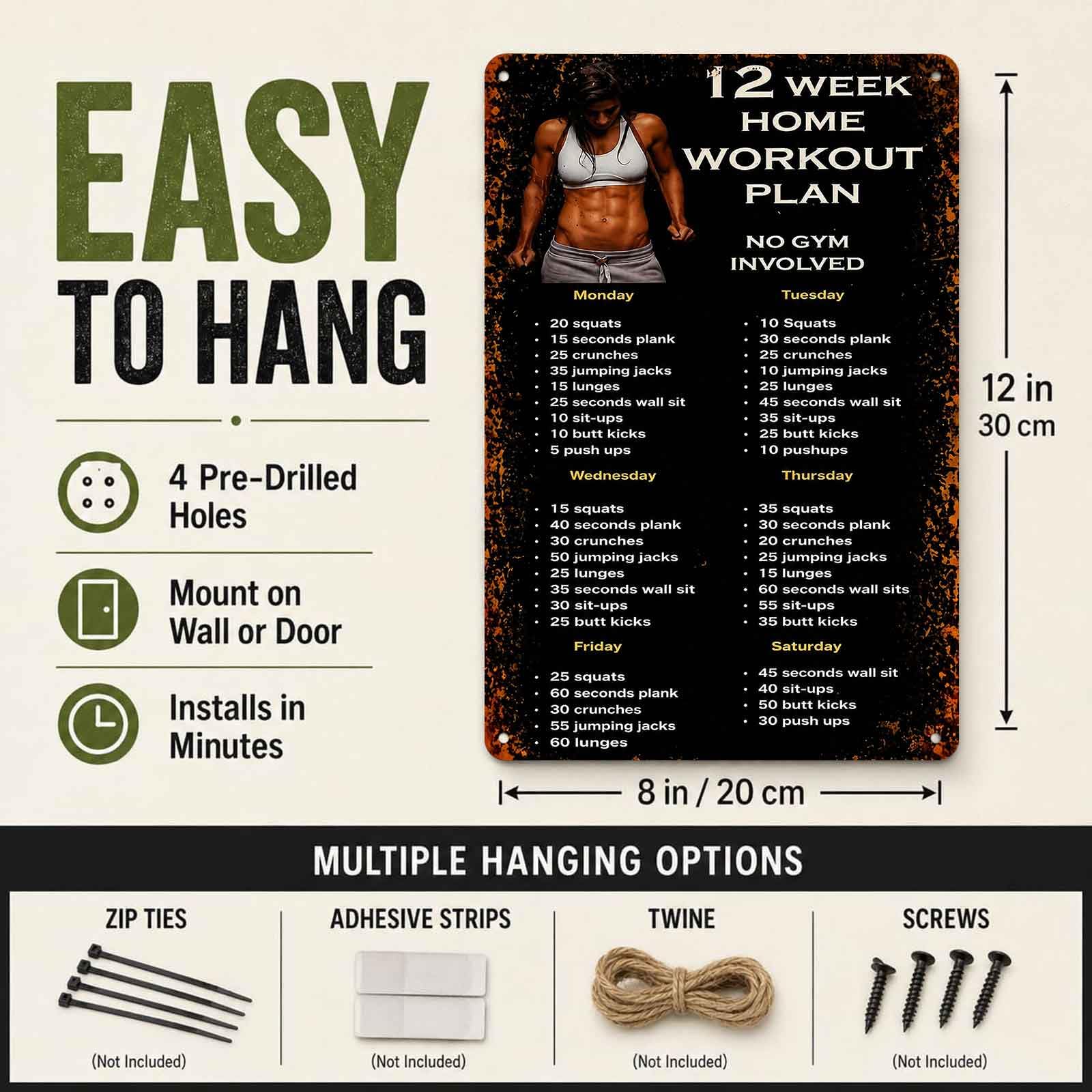 Aluminum Sign for 12-Week Home - Workout Plan Home Gym 评论和价格